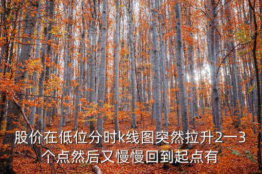 低位反彈之后加速拉升什么情況，股價(jià)在低位分時(shí)k線圖突然拉升2一3個(gè)點(diǎn)然后又慢慢回到起點(diǎn)有