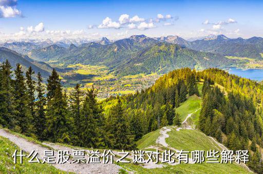 股票溢價(jià)是什么意思，什么是股票溢價(jià)之謎對(duì)此有哪些解釋