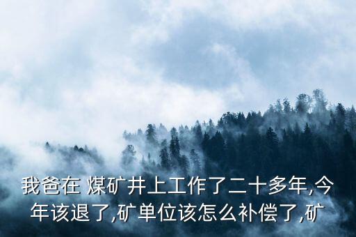 煤礦沒(méi)錢(qián)怎么退股