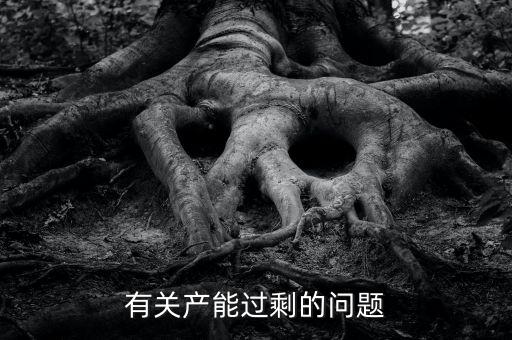 有關產(chǎn)能過剩的問題