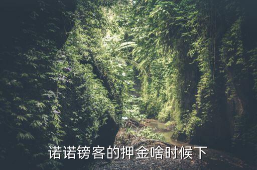 諾諾鎊客里的收本金額是什么，諾諾鎊客的押金啥時候下