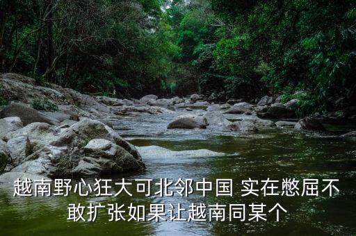 越南為什么那么狂，越南野心狂大可北鄰中國 實(shí)在憋屈不敢擴(kuò)張如果讓越南同某個(gè)