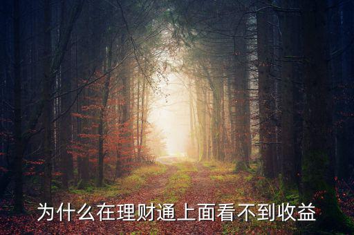 投資60元理財(cái)通為什么沒(méi)收益，為什么在理財(cái)通上面看不到收益