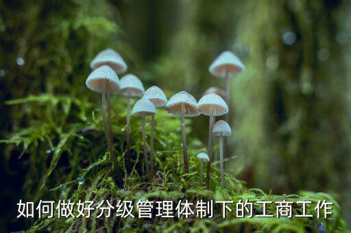 什么是分層分級(jí)管理，如何做好分級(jí)管理體制下的工商工作