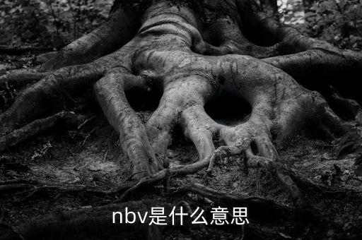 保險nbv是什么意思，nbv是什么意思