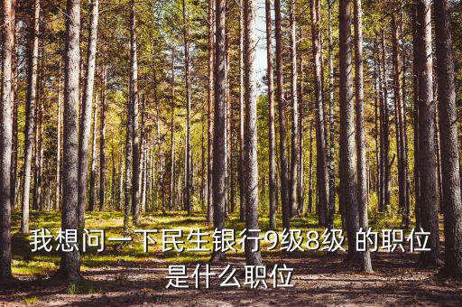 銀行評級8級是什么，銀行貸款評級