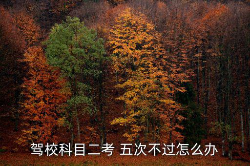 駕?？颇慷?五次不過怎么辦