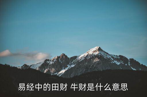 牛牛理財是什么意思，易經(jīng)中的田財 牛財是什么意思
