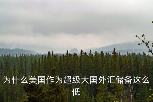 為什么美國(guó)作為超級(jí)大國(guó)外匯儲(chǔ)備這么低