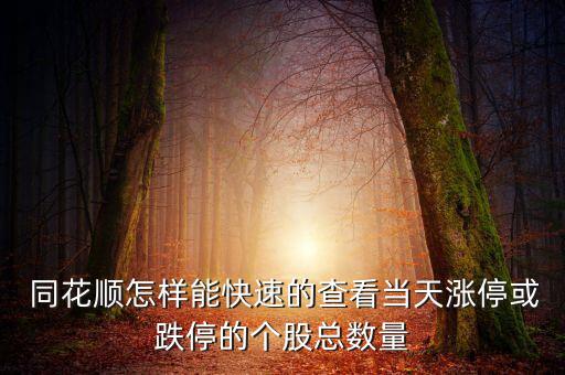  同花順怎樣能快速的查看當(dāng)天漲?；虻５膫€(gè)股總數(shù)量