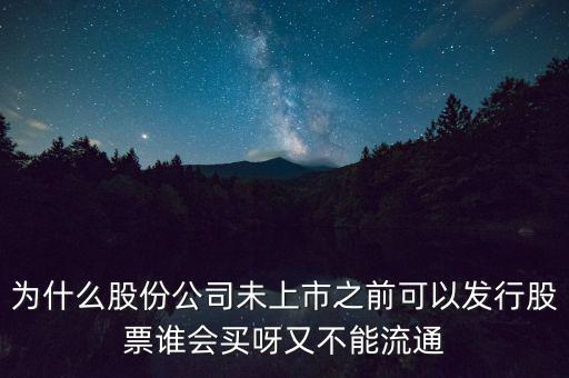 為什么股份公司未上市之前可以發(fā)行股票誰(shuí)會(huì)買呀又不能流通