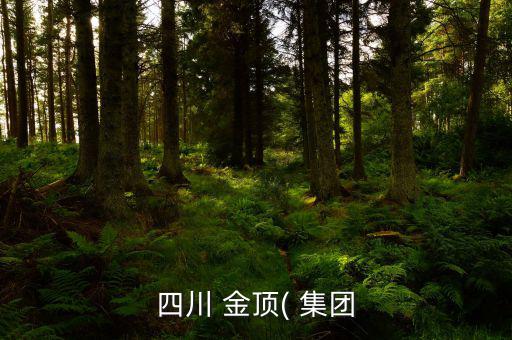 金頂集團(tuán)怎么樣,四川金頂集團(tuán)股東梁海轉(zhuǎn)讓股權(quán)價(jià)格沒(méi)溢價(jià)