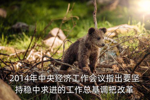 2014年中央經(jīng)濟(jì)工作會議指出要堅持穩(wěn)中求進(jìn)的工作總基調(diào)把改革
