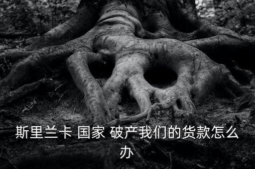 斯里蘭卡 國(guó)家 破產(chǎn)我們的貨款怎么辦