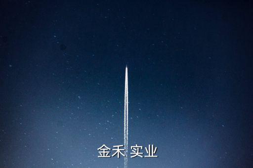 金禾 實業(yè)