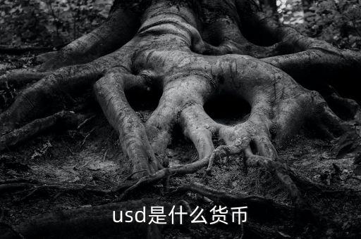 usd什么貨幣，什么是USD