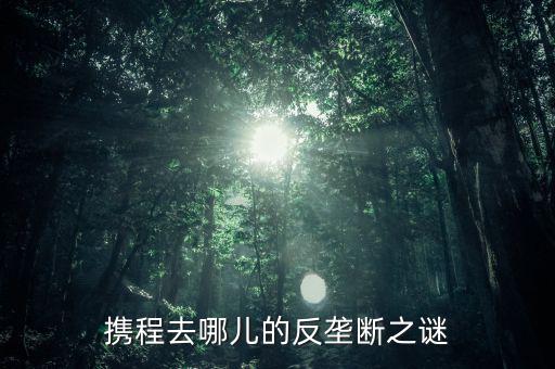 梁建章為什么離開攜程，攜程老板梁建章對公司的投訴難道只會(huì)說抱歉嗎這簡直有死