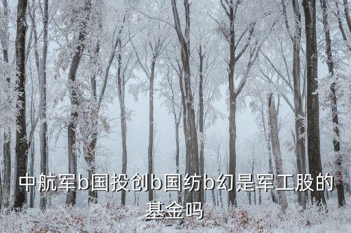 國創(chuàng)投b是什么基金，請教創(chuàng)業(yè)b是私募基金嗎屬于清盤對象嗎
