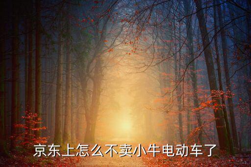 京東什么時(shí)候開(kāi)放小牛，京東上怎么不賣(mài)小牛電動(dòng)車(chē)了