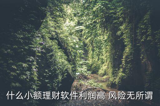 什么小額理財(cái)最安全，什么小額理財(cái)軟件利潤(rùn)高 風(fēng)險(xiǎn)無所謂