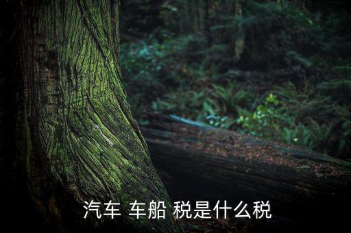 汽車車船稅是怎么樣,車船稅是對(duì)車輛、船舶征收的稅