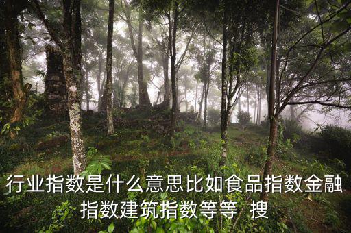 申萬行業(yè)指數(shù)是什么，申萬證券行業(yè)指數(shù)分級是什么指數(shù)基金嗎
