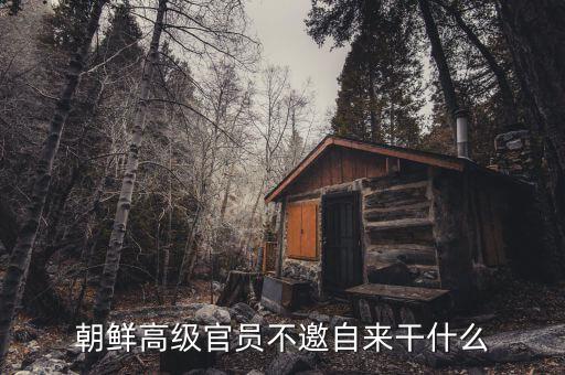 朝鮮領(lǐng)導(dǎo)人為什么不出訪，朝鮮高級官員不邀自來干什么
