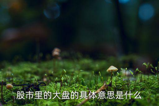 股票中大盤(pán)是什么意思，股市里的大盤(pán)的具體意思是什么