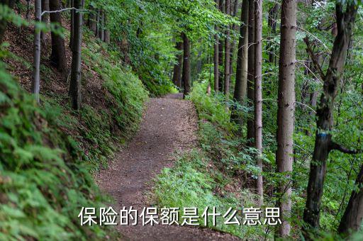 保險(xiǎn)保額是什么意思，保險(xiǎn)里的保額是啥意思