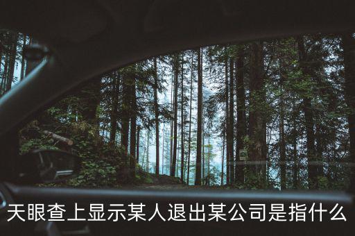 什么是退出類平臺(tái)公司，天眼查上顯示某人退出某公司是指什么