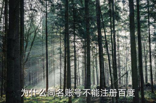 什么是同名賬戶，神武游戲說存在同名賬號是什么意思
