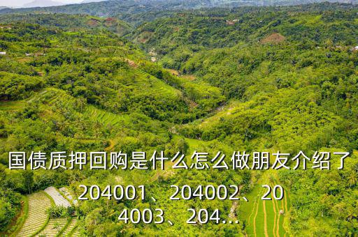 國(guó)債質(zhì)押回購(gòu)是什么怎么做朋友介紹了 204001、204002、204003、204...