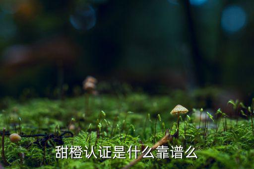 甜橙金融公司是什么，便捷的網(wǎng)貸理財企業(yè)是什么