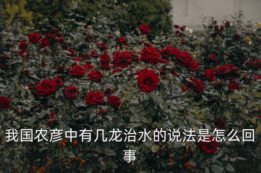 三龍治水是什么意思，幾屠共豬 幾龍治水做何解