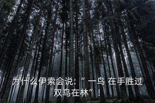 為什么伊索會(huì)說(shuō):“ 一鳥(niǎo) 在手勝過(guò)雙鳥(niǎo)在林”!