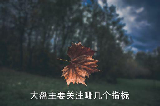 股市大盤(pán)關(guān)注什么指數(shù)，大家看大盤(pán)走勢(shì)都是看的哪個(gè)指數(shù)