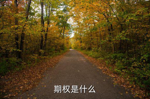 股票期權是什么，期權和股權有什么本質區(qū)別嗎