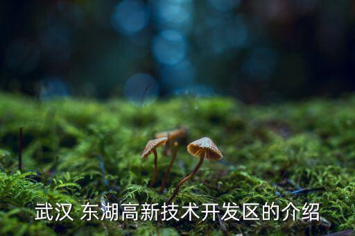 武漢 東湖高新技術開發(fā)區(qū)的介紹