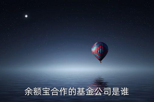 余額寶投資過什么公司，余額寶合作的基金公司是誰