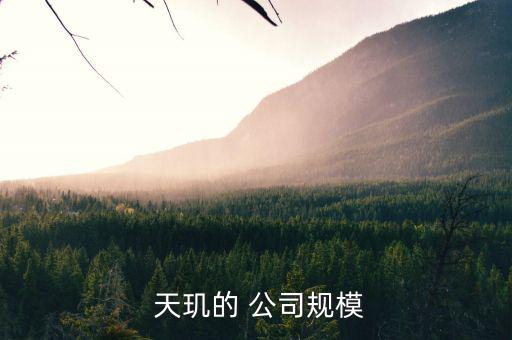天璣科技公司怎么樣,天璣科技擁有認(rèn)證運(yùn)營支持團(tuán)隊(duì)備件庫充足
