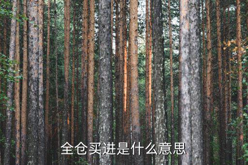 全倉買入是什么意思，掛高全倉買入什么意思