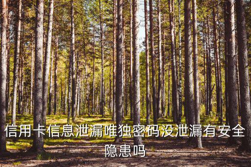 信用卡信息泄露有什么風(fēng)險(xiǎn)，信用卡信息泄漏唯獨(dú)密碼沒泄漏有安全隱患嗎