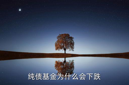 為什么純債基也會(huì)下跌，純債基金為什么會(huì)下跌