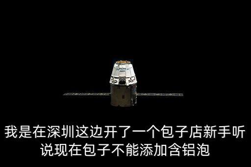 包子禁止添加什么，我是在深圳這邊開了一個包子店新手聽說現(xiàn)在包子不能添加含鋁泡