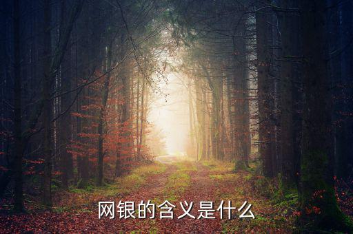 網(wǎng)銀存入代表什么意思，網(wǎng)銀的含義是什么