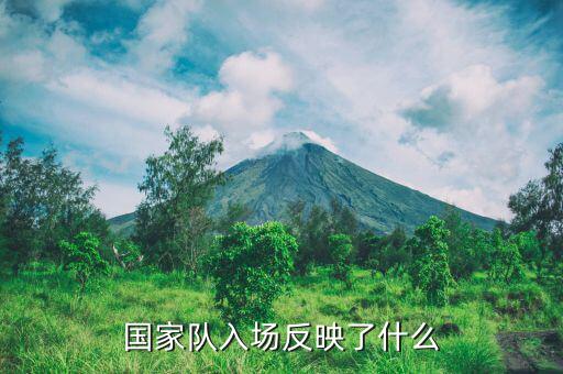 國家隊(duì)進(jìn)場是什么意思，國家隊(duì)入場反映了什么