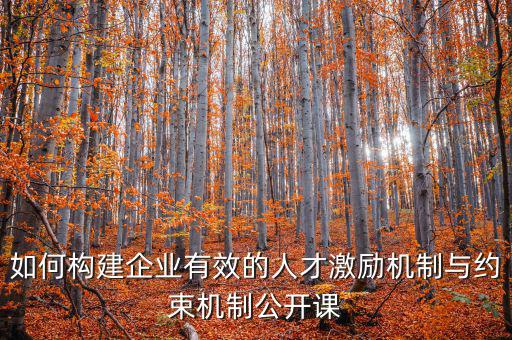 財務(wù)激勵與約束機制的設(shè)計原則是什么，財務(wù)激勵約束機制的概念是什么