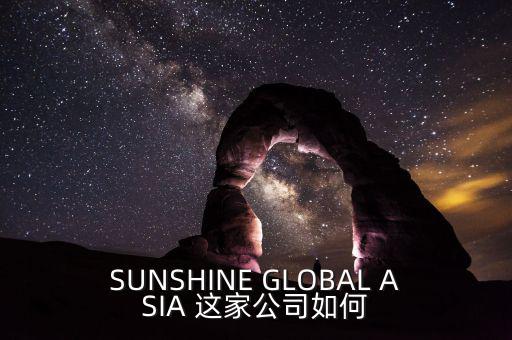 永信亞洲有限公司主要業(yè)務(wù)是什么，SUNSHINE GLOBAL ASIA 這家公司如何