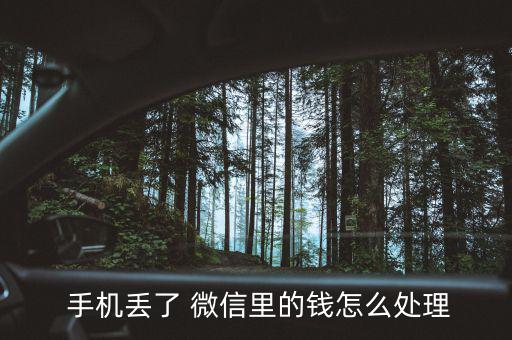 手機丟了微信里的錢怎么辦,手機丟了怎么辦?