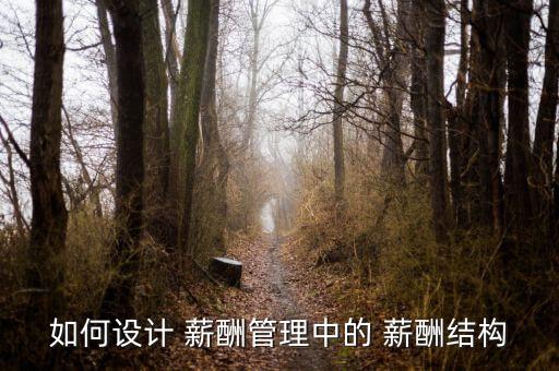 薪酬結構圖怎么做,通過分析可發(fā)現(xiàn)薪酬管理中存在問題